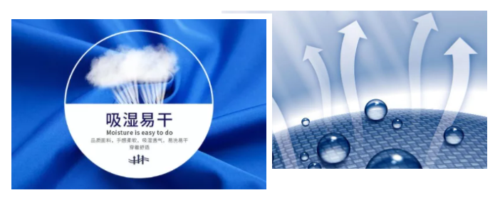 雷火竞技官网医纺