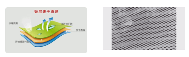 雷火竞技官网医用纺织