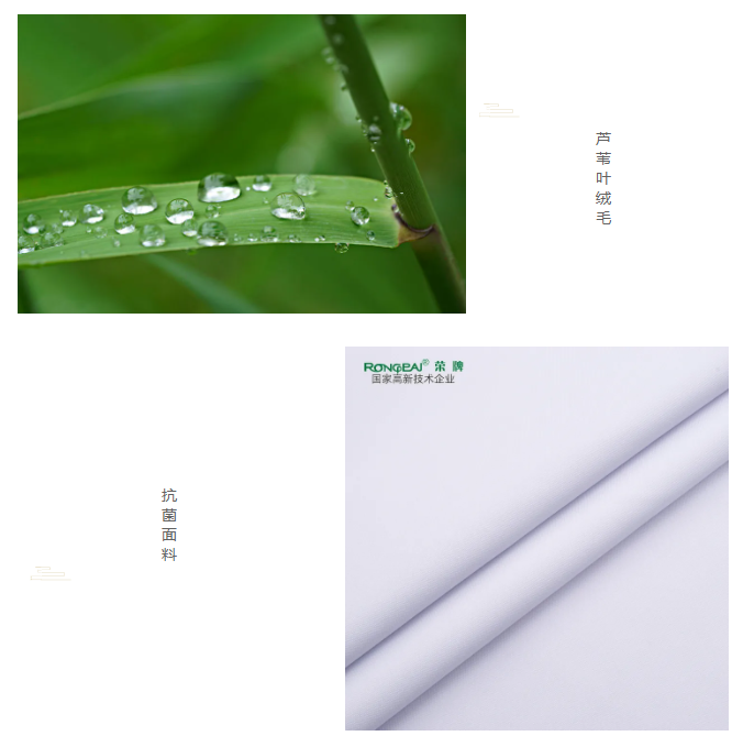 雷火竞技官网医纺